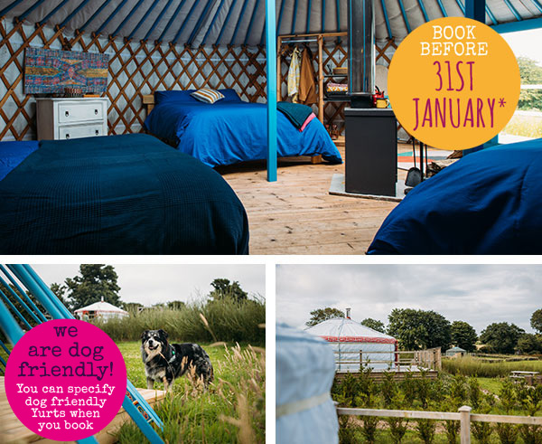 Our yurts and site 