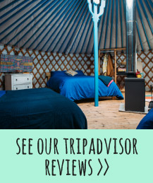 See our TripAdvisor Reviews