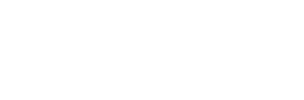 rays-white icon